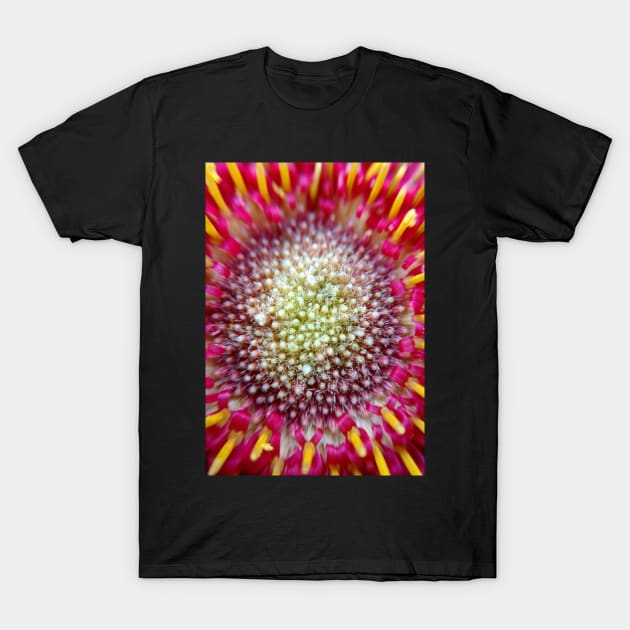 Burst T-Shirt by KatieSchutteArt